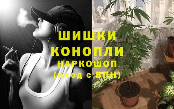 прущая мука Белокуриха